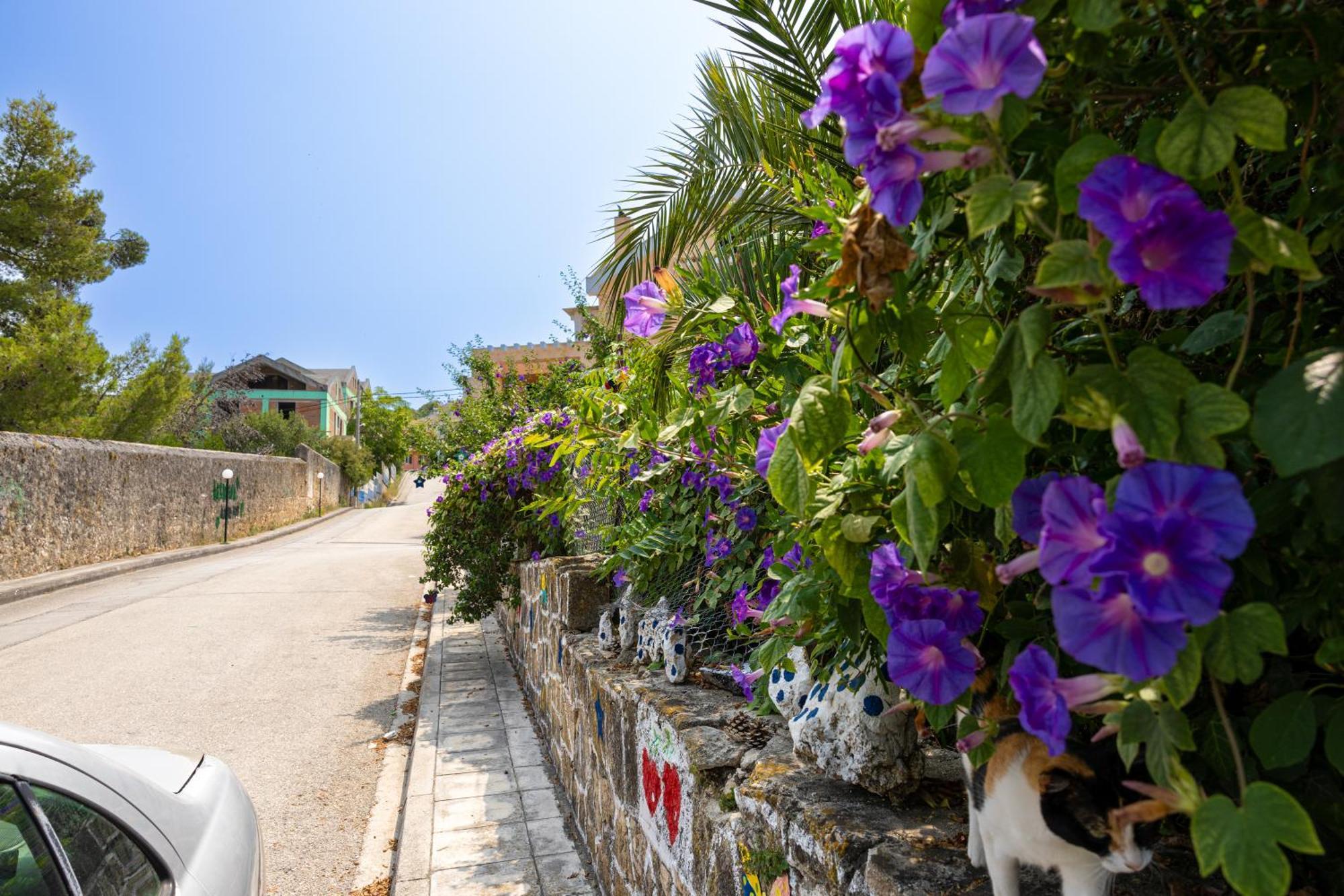 Domus City Apartment Argostoli (Kefalonia) Exterior foto